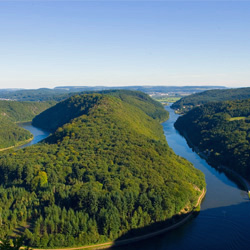 SHS Foundation - powered by Bscout® - Faire Suchmaschine & Netzwerk!